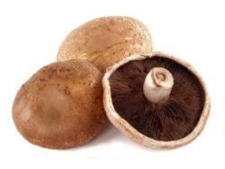 Μανιτάρια Porto Bello Φρέσκα