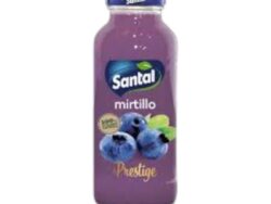 SANTAL ΧΥΜΟΣ Μύρτιλο 250ml 24 / κιβ