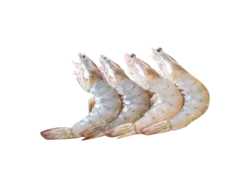 Γαρίδες VANNAMEI 20/30 4κιλών Εκουαδόρ 1χ3