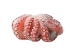 Χταπόδι Ινδοειρ.2-3Kg Τ3 Ομηρος Κατεψυγμένο