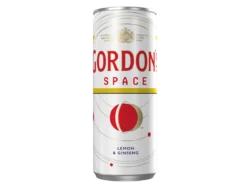 GORDONS SPACE CAN 250ml