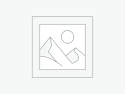 Δείκτης τοποθέτησης